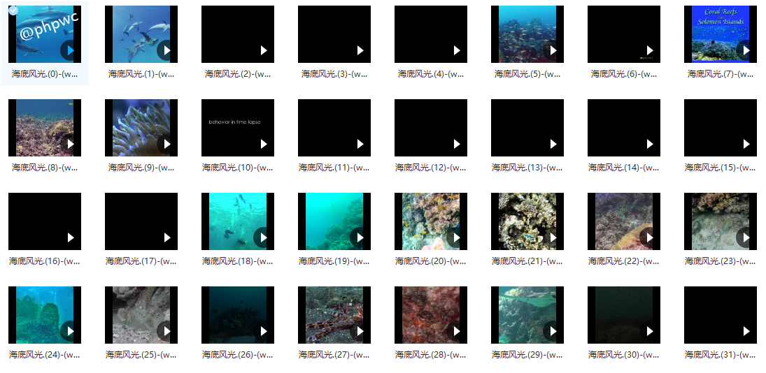 海底世界4K超高清 - 短视频素材100个()-默认栏目
