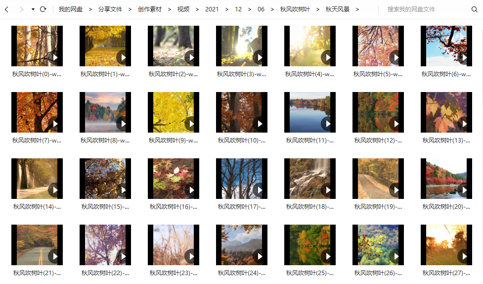 秋风的树木/风吹树叶镜头特写 - 大自然风景/治愈系- 短视频素材162个()-默认栏目