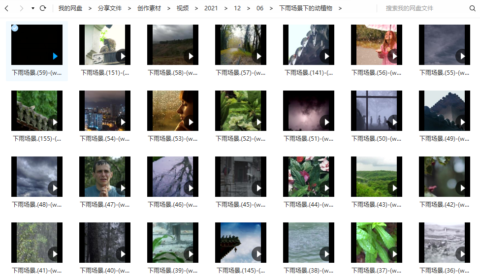 下雨场景下的动植物- 横版短视频素材161个()-默认栏目