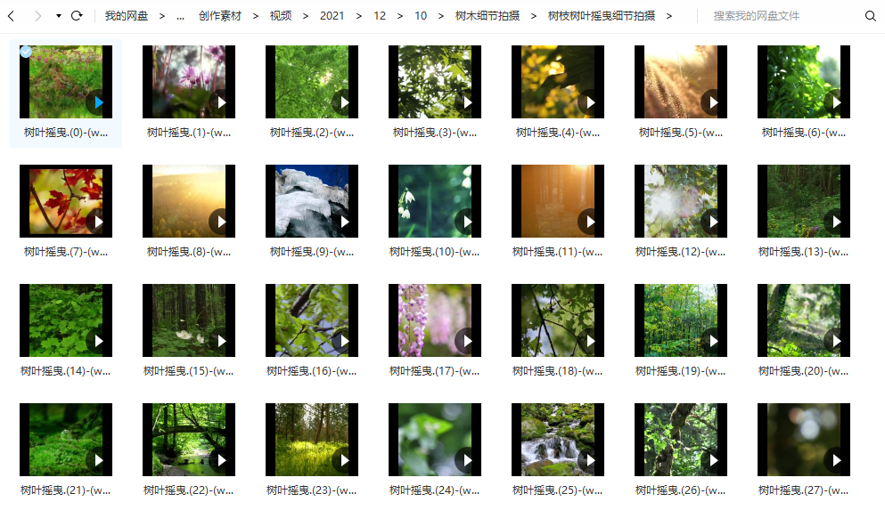 树木细节拍摄 - 树叶摇曳/小清新绿色植物大自然 - 短视频素材111个()-默认栏目