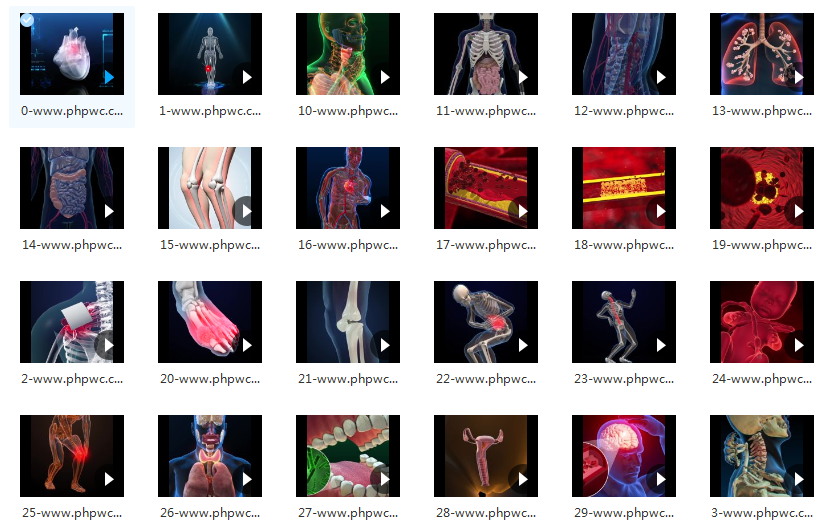 3D动画医疗(健康/科技/人体扫描)-无水印视频素材59个-网盘打包下载()-默认栏目