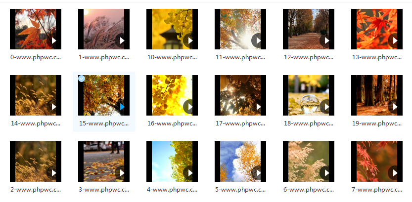 秋天树木落叶高清-视频素材21个无水印-网盘打包下载()-默认栏目