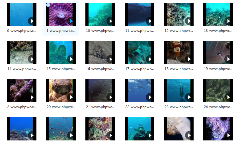 4K海底世界景观-视频素材50个无水印-网盘打包下载()-默认栏目